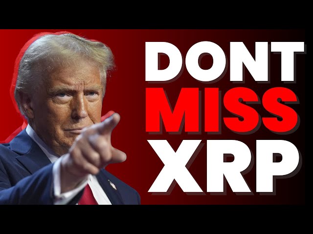 XRP設置了舞台...👀