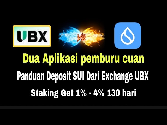 We stake the results of the staking UBX in Biz Sui