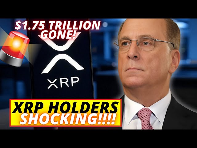 XRPだけ！ BlackRock CEOはみんなに衝撃を与えました！ 1.75兆ドルがなくなった！銀行のための大したことです！