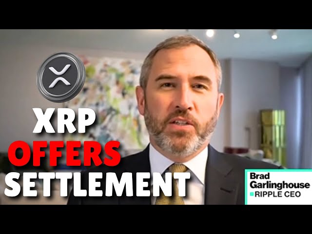 XRP Ripple：首席执行官Ripple意外泄漏XRP价格！ （$ 333.54公允价值） - 今天的Ripple XRP新闻