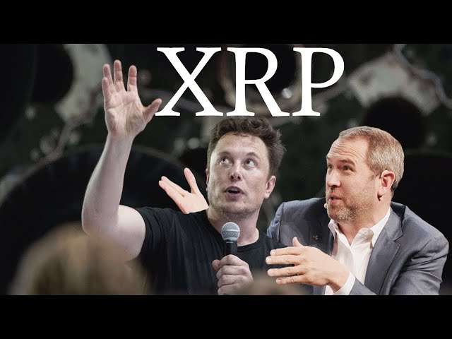 XRPリップル：XRPの価格にわたるCEOの大濾過（333.54ドルの最終価値が最終的に明らかになりました