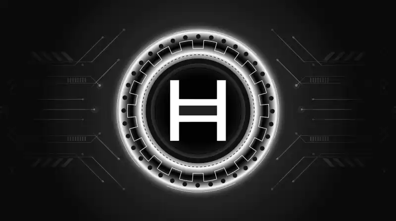 NASDAQ에서 HEDERA (HBAR) ETF 제품 목록을위한 그레이 스케일 파일 NASDAQ에서 HEDERA (HBAR) ETF 제품 목록을위한 그레이 스케일 파일