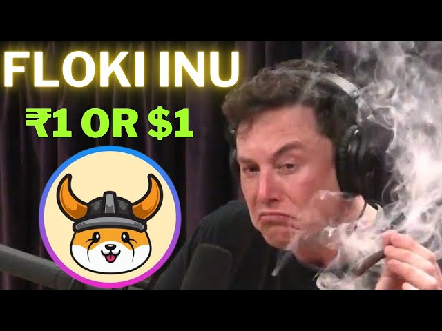 Floki INU价格预测|每个加密持有人都知道这一点| BTC $ 69K即将？ | Floki INU更新