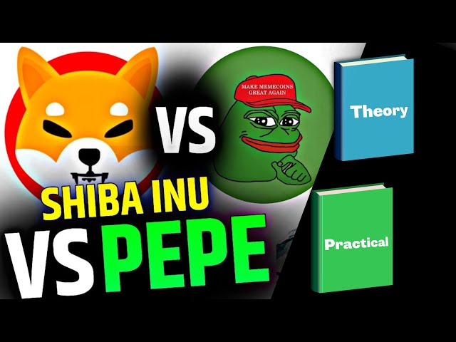 Shiba vs Pepe: The Meme Coin Wars 2025.