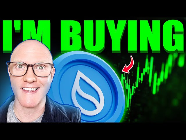 'Sui Is An Easy 7x From Here' Says Alex Becker! I'm Buying SUI + Price Prediction!