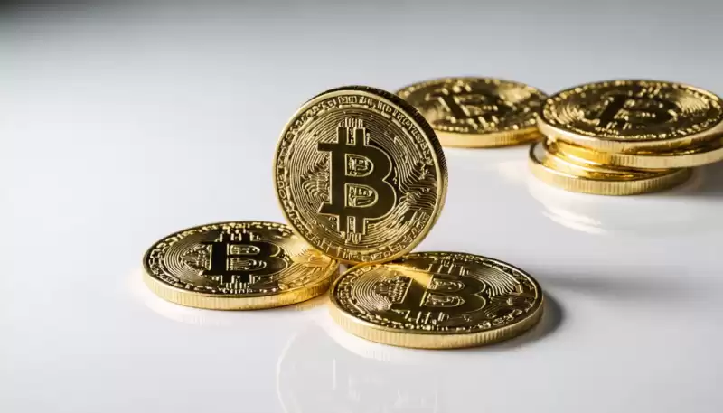 Pi Coin은 스마트 폰을 활용하여 암호화 광업을 민주화 할 것을 약속합니다. Pi Coin은 스마트 폰을 활용하여 암호화 광업을 민주화 할 것을 약속합니다.