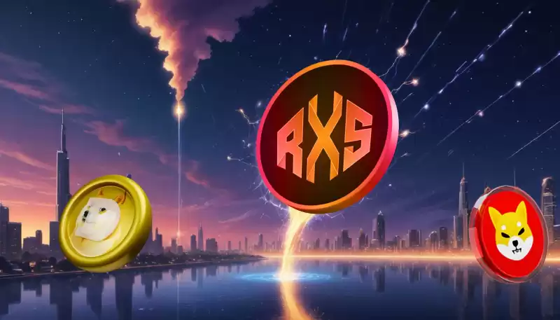 Rexas Finance (RXS)는 잠재력이 3500% 증가하여 저평가되었습니다. Rexas Finance (RXS)는 잠재력이 3500% 증가하여 저평가되었습니다.