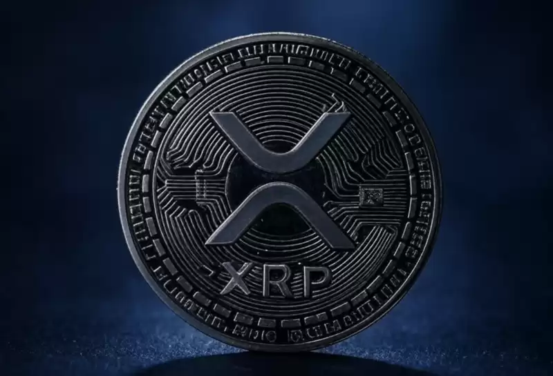 最好的XRP分類帳(XRPL)模因硬幣將於2025年3月購買 最好的XRP分類帳(XRPL)模因硬幣將於2025年3月購買