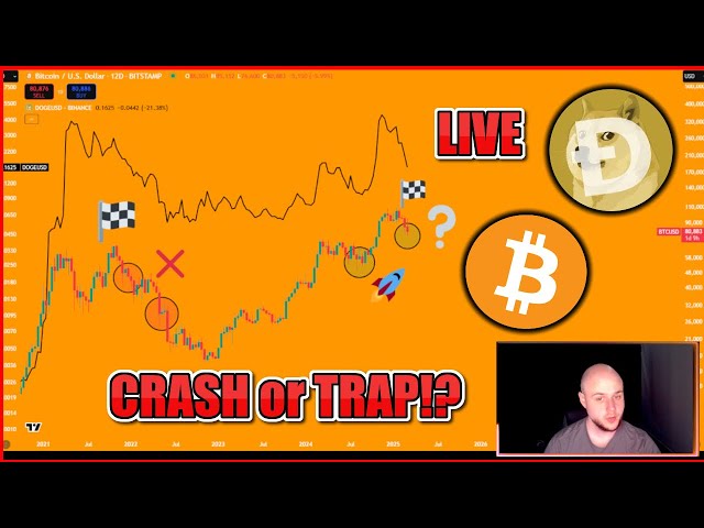 🔴 Bären Sie Marktcrash für Bitcoin oder Alt -Saison -Doge Pump!? Dogcoin, XRP, Jasmy, Shiba Livestream