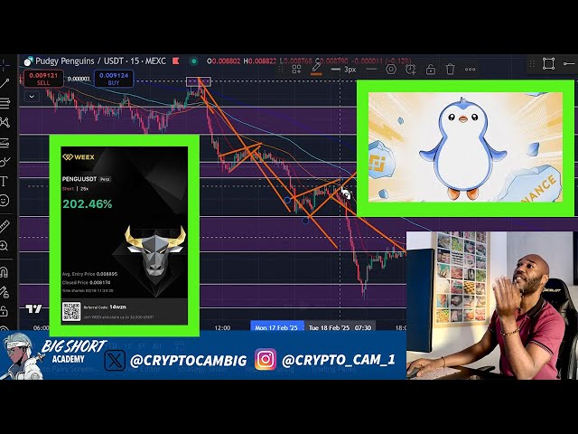 查看我如何製作20k Trading Crypto Coin Pengu USDT！