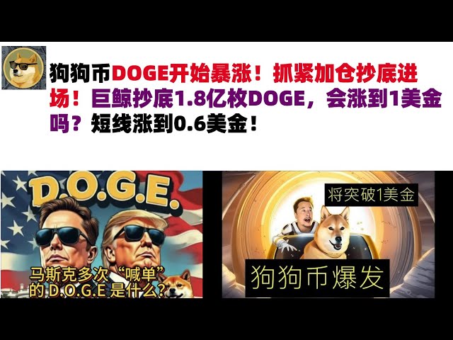 狗狗幣DOGE開始暴漲！抓緊加倉抄底進場！巨鯨抄底1.8億枚DOGE，會漲到1美金嗎？短線漲到0.6美金#DOGE幣#馬斯克狗狗幣#DOGE行情分析!