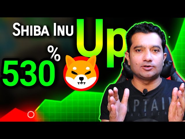 Shiba Inu硬幣530％上升💯好消息shib inu硬幣持有人