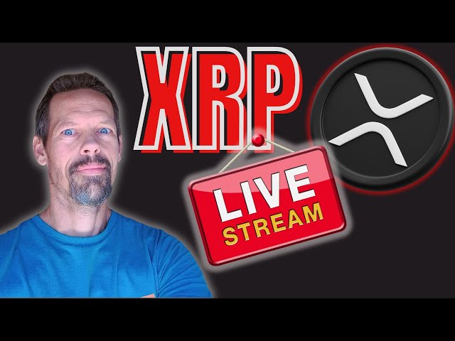 XRP实时图表！ 1分钟蜡烛。