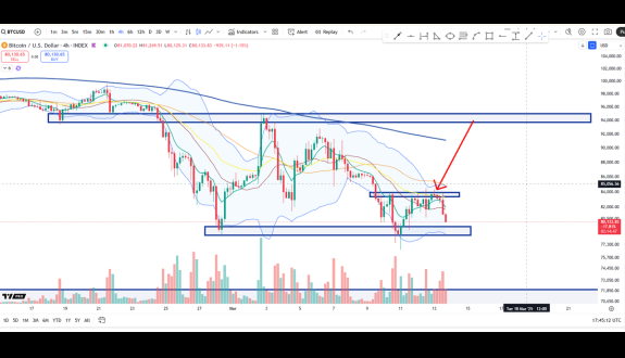 Cheds Trading