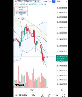 Cheds Trading