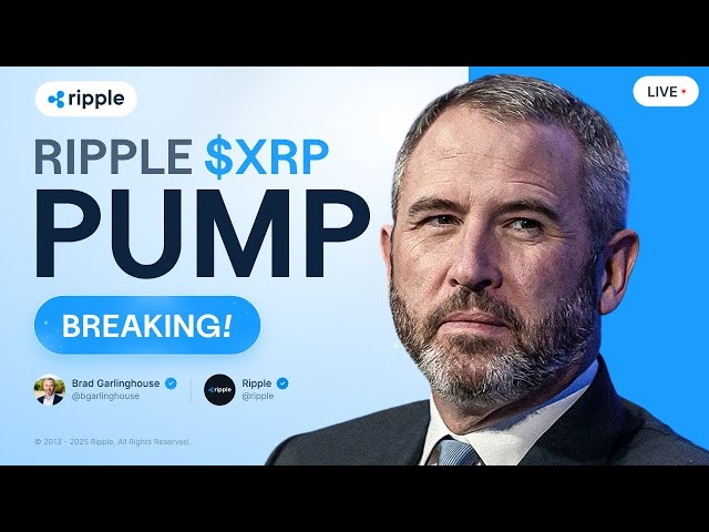 Brad Garlinghouse : Ripple Bull Run이 확인되었습니다! XRP 가격 예측