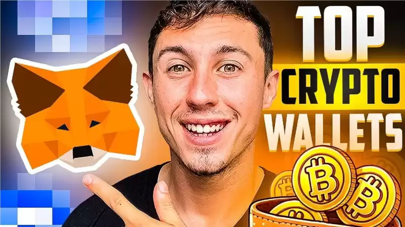Best Wallets to Store Your Crypto in 2025 Best Wallets to Store Your Crypto in 2025