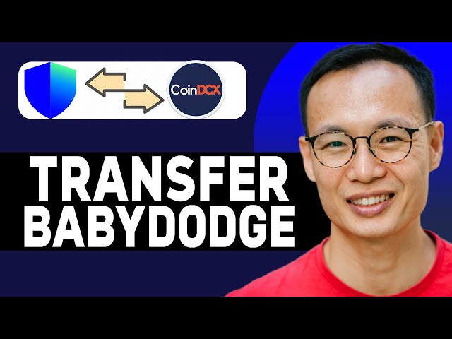 Comment transférer Baby Doge Coin du portefeuille de confiance à COINDCX 2025! (Guide mis à jour)