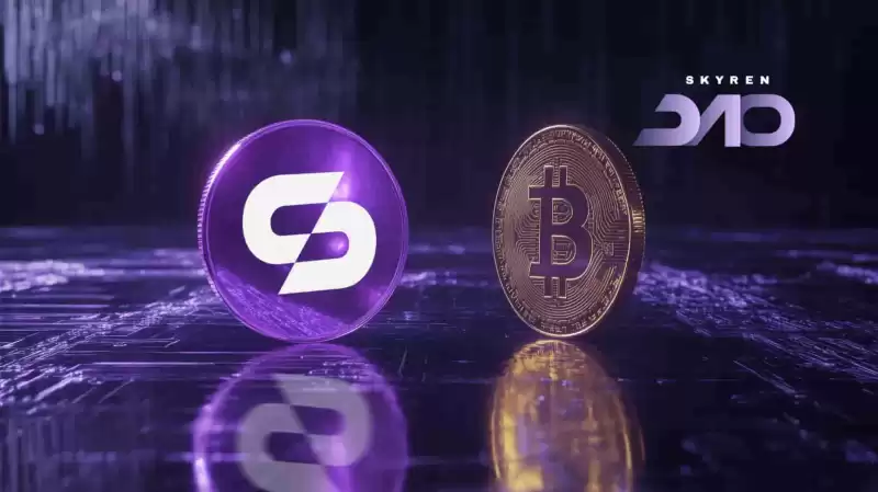 Skyren Dao가 혁신적인 에어 드롭 컬렉션 프로토콜을 공개함에 따라 비트 코인 해시율은 사상 최고치 Skyren Dao가 혁신적인 에어 드롭 컬렉션 프로토콜을 공개함에 따라 비트 코인 해시율은 사상 최고치