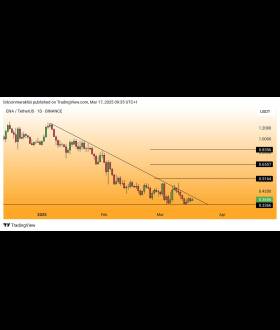 Bitcoin Meraklısı