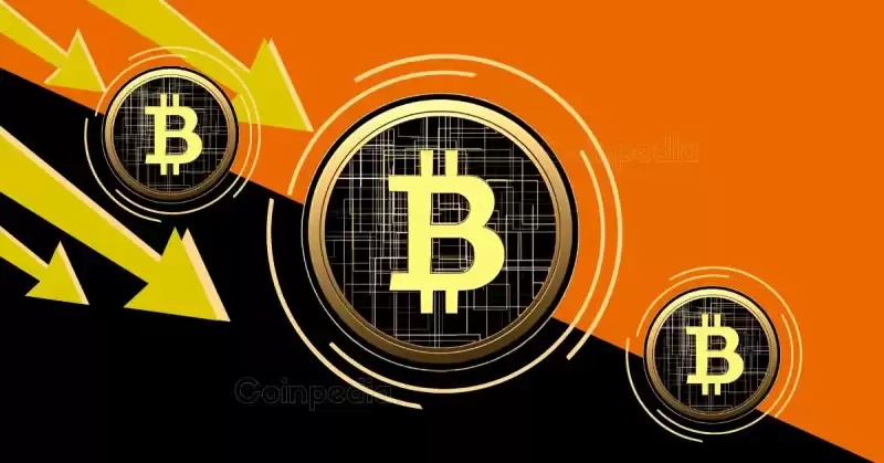 The current Bitcoin cycle looks different from past ones. The current Bitcoin cycle looks different from past ones.