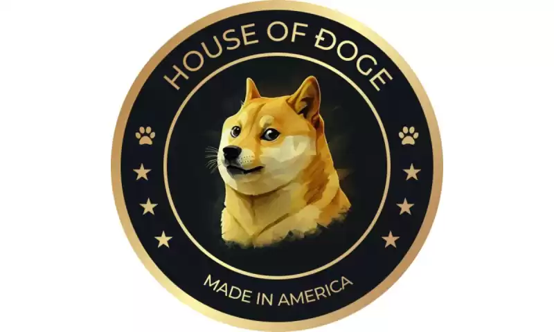 Dogecoin Indy 500 투표 및 기부 플랫폼을 시작하십시오 Dogecoin Indy 500 투표 및 기부 플랫폼을 시작하십시오