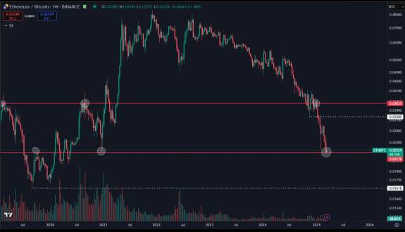 Daan Crypto Trades