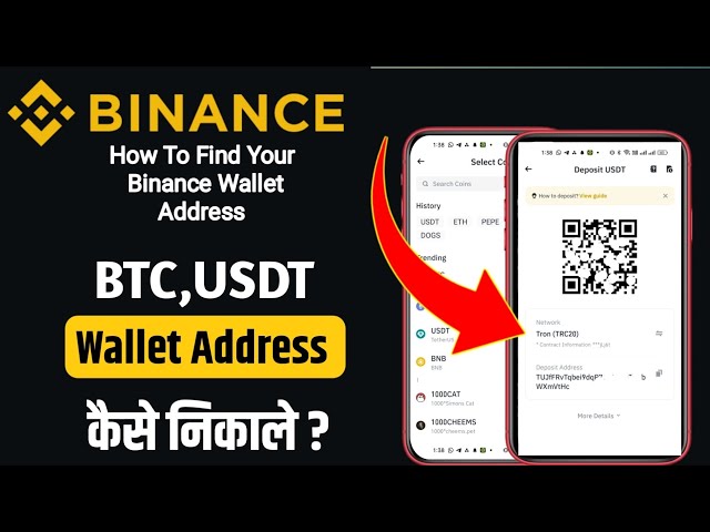 Binance portefeuille Adresse Kaise Dekhe | Comment trouver l'adresse USDT dans Binance | Adresse du portefeuille ERC20