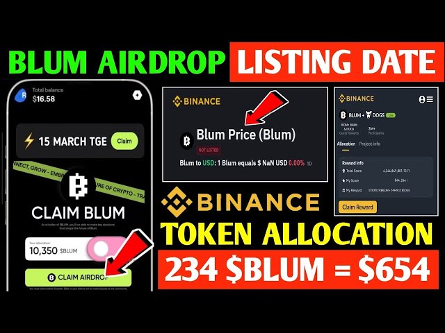 Blum Withdraw Process | How to Withdraw Blum Into USDT | Blum Price Update | Blum Airdrop