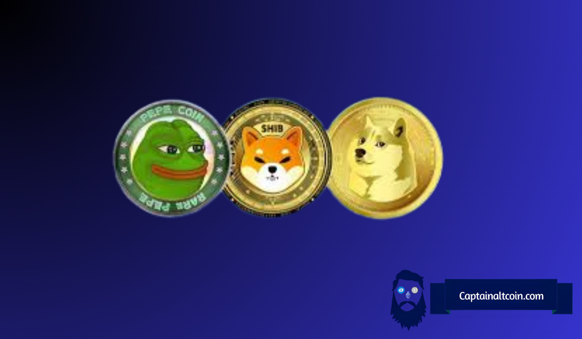 Meme Coin Mania Returns : SPX, Fartcoin 및 Bonk Lead the Rally