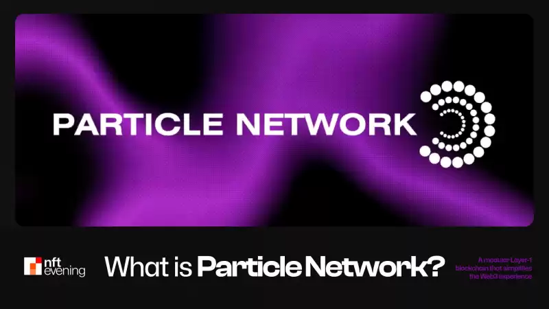 Particle Network is a technology that streamlines interactions between different blockchains. Particle Network is a technology that streamlines interactions between different blockchains.