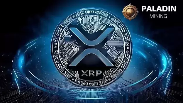 PaladinMining Cloud Mining Service PaladinMining Cloud Mining Service