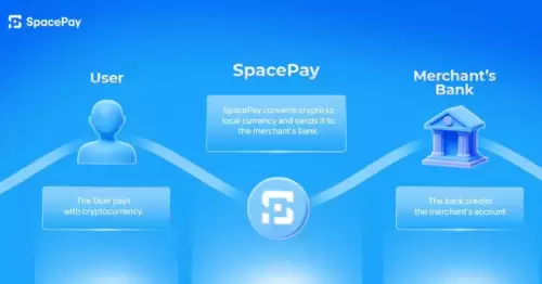 SpacePay旨在改善我们的发送和接收方式,针对日常用户 SpacePay旨在改善我们的发送和接收方式,针对日常用户
