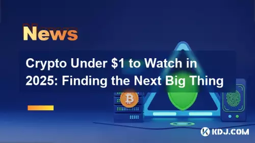 2025 年值得關注的 1 美元以下加密貨幣:尋找下一個大事件 2025 年值得關注的 1 美元以下加密貨幣:尋找下一個大事件