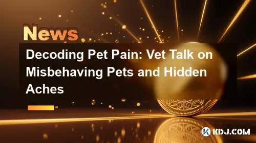 Decoding Pet Pain: Vet Talk on Misbehaving Pets and Hidden Aches Decoding Pet Pain: Vet Talk on Misbehaving Pets and Hidden Aches