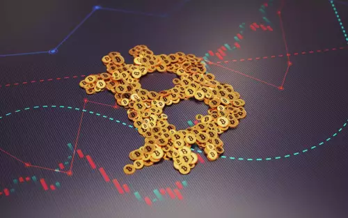 比特币财政部:泡沫还是突破? 比特币财政部:泡沫还是突破?