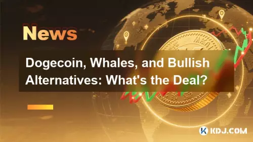 Dogecoin, 고래 및 강세 대안: 거래는 무엇입니까? Dogecoin, 고래 및 강세 대안: 거래는 무엇입니까?