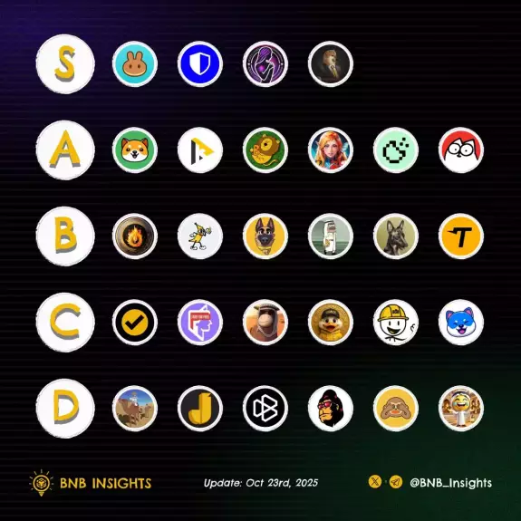 BNB Insights BNB Insights