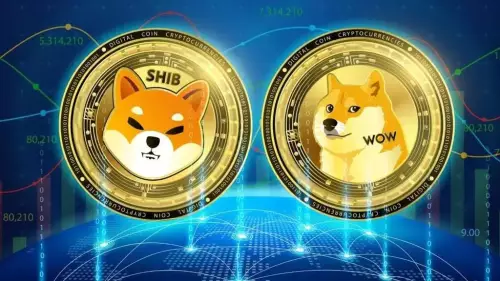 암호화폐 동향 해독: Dogecoin, Shiba Inu 및 Digitap의 부상 탐색 암호화폐 동향 해독: Dogecoin, Shiba Inu 및 Digitap의 부상 탐색