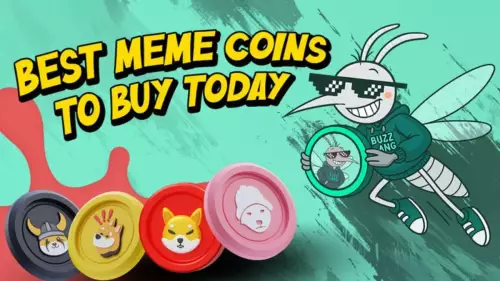 数字资产、加密货币、立即购买:在加密货币群中驾驭嗡嗡声 数字资产、加密货币、立即购买:在加密货币群中驾驭嗡嗡声