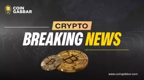 民間金融空投:應對價格恐懼和炒作 民間金融空投:應對價格恐懼和炒作