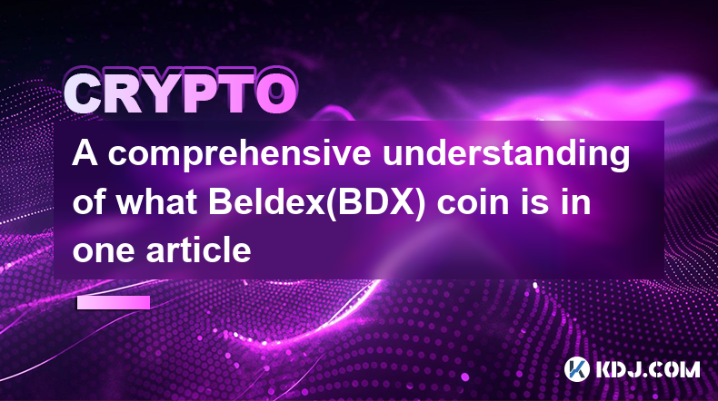 一篇文章全面了解 Beldex(BDX) 币是什么