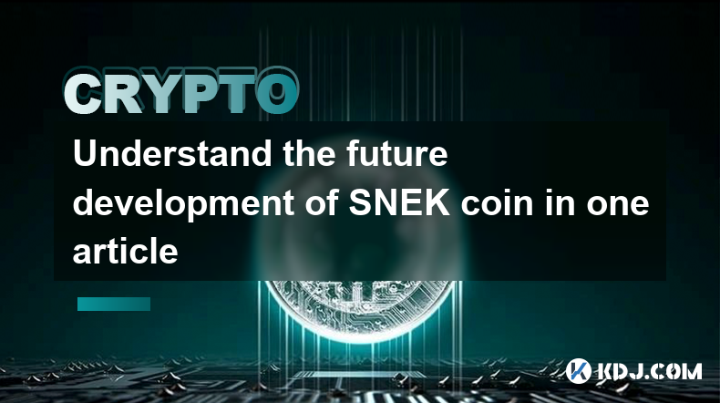 Understand the future development of SNEK coin in one article