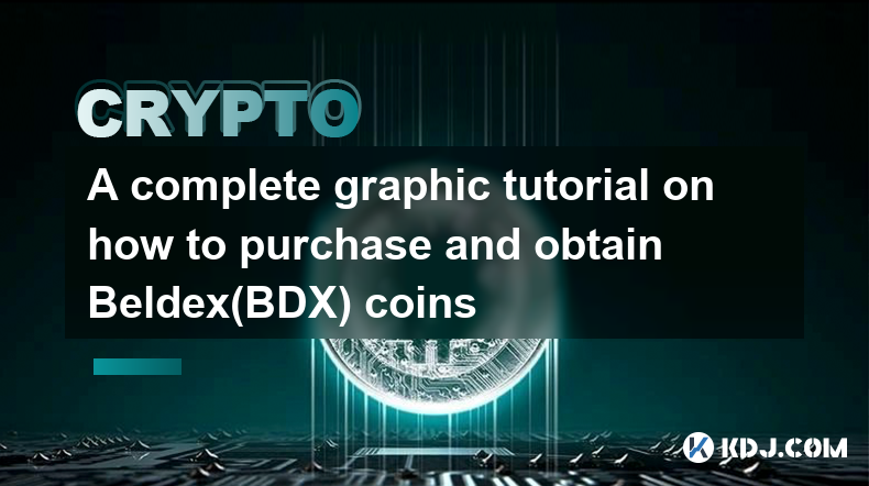 A complete graphic tutorial on how to purchase and obtain Beldex(BDX) coins