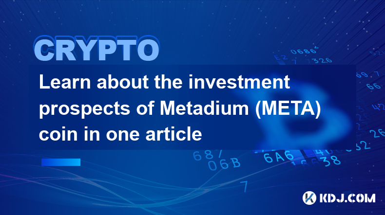 메타디움(META) 코인의 투자 전망을 한 기사로 알아보세요