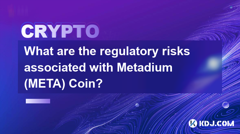 Welche regulatorischen Risiken sind mit Metadium (META) Coin verbunden?