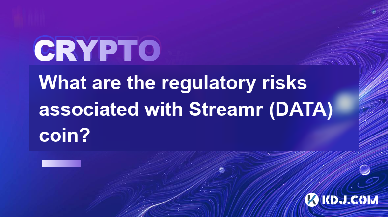 What are the regulatory risks associated with Streamr (DATA) coin?