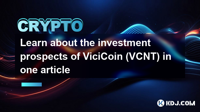 一文了解ViciCoin（VCNT）的投資前景