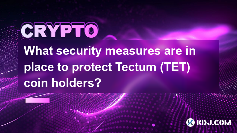 What security measures are in place to protect Tectum (TET) coin holders?