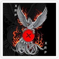 XRP DRAGON🐉🔥